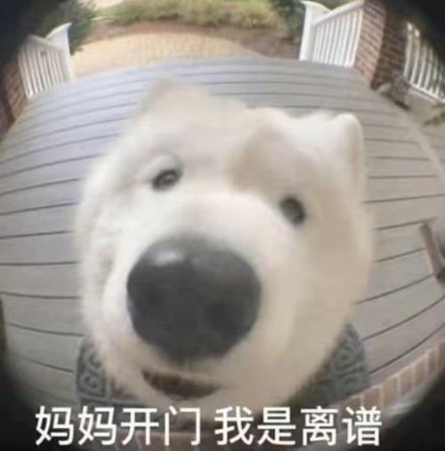 离谱表情包