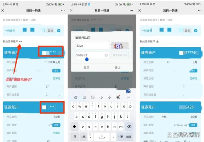 查询自己名下证券账户官网