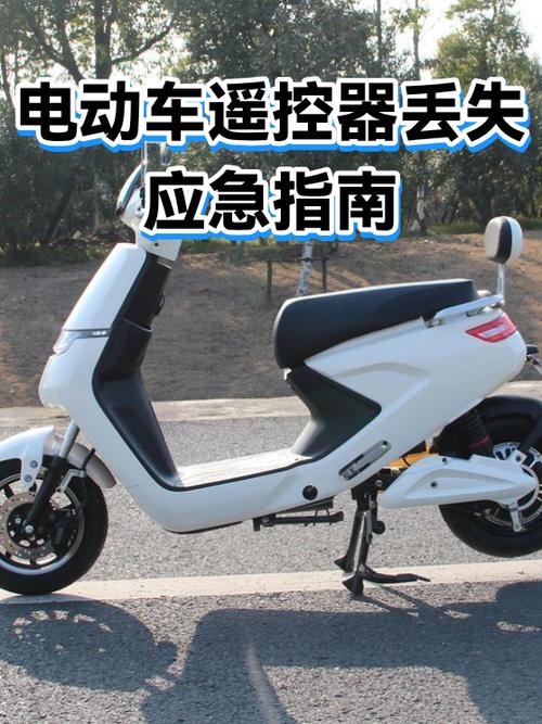 遥控车遥控器丢了怎么办缩略图