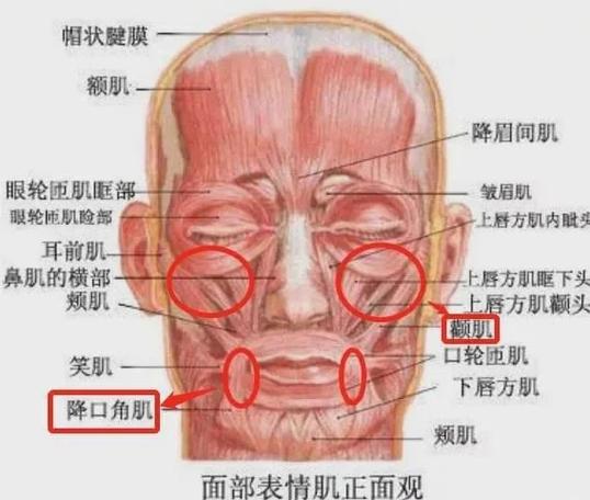 如何控制面部表情