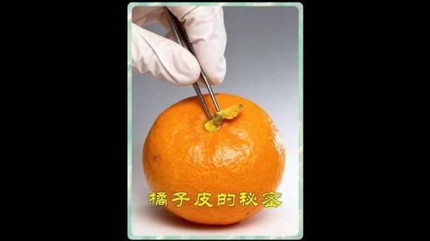 橘子皮发黑是什么原因缩略图