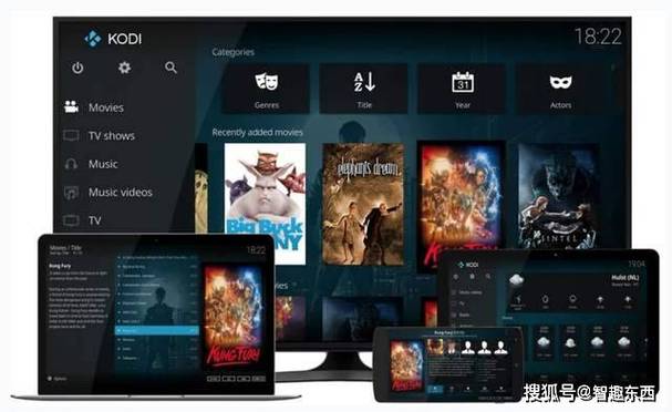 kodi21不显示视频信息