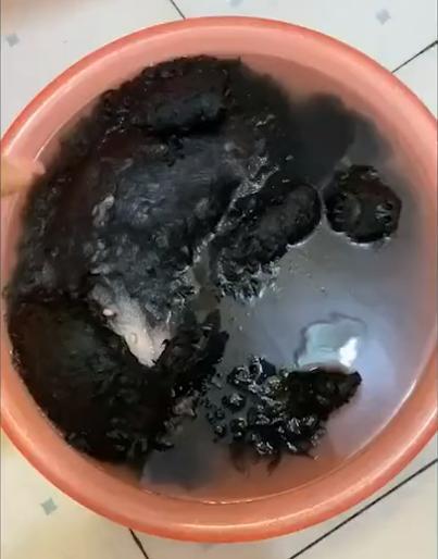 喝可乐后吐出黑色粘稠物