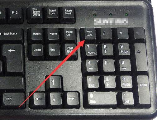 电脑键盘数字键打不出数字