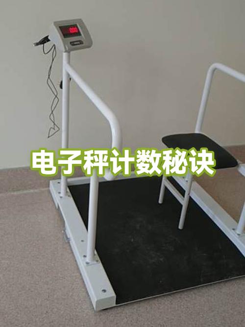 电子秤计算数量的方法