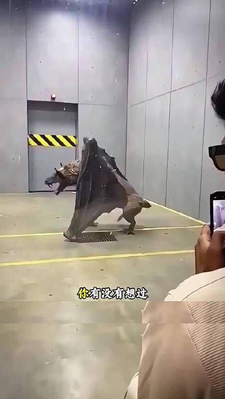 最大的蝙蝠