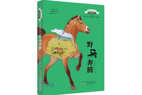 野马小说
