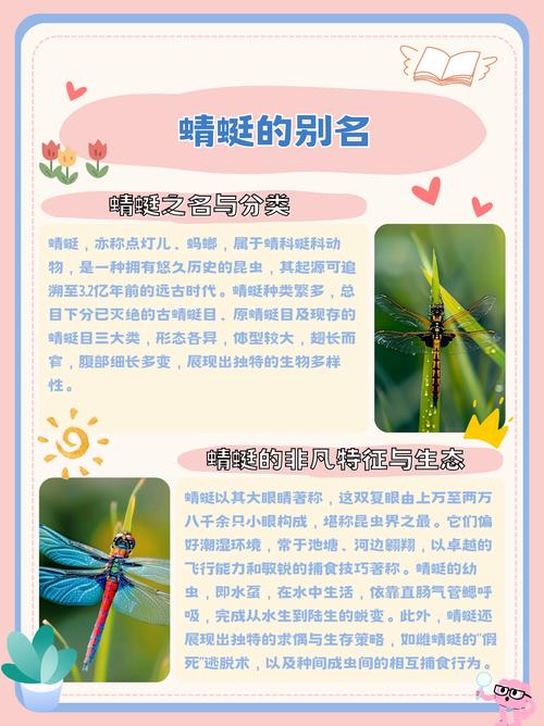 蜻蜓fm下载的文件名还原