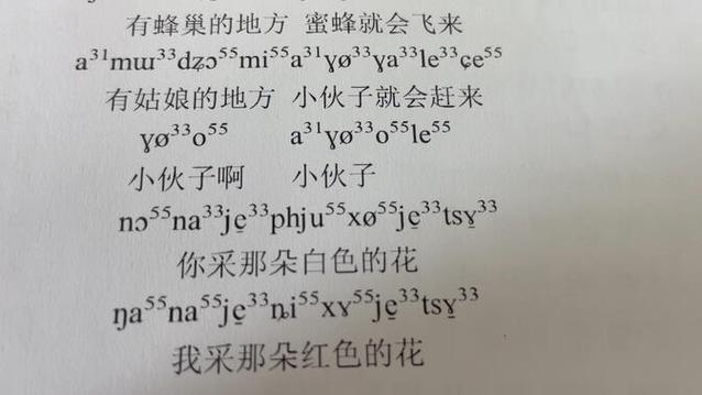 哈尼语大全