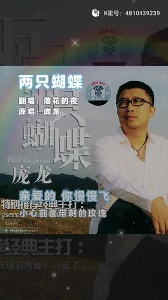两只蝴蝶是哪年的歌