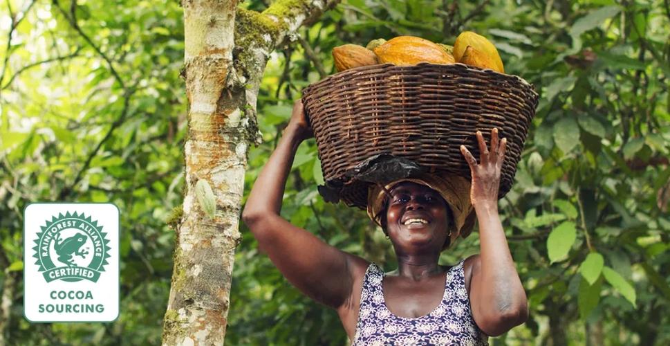 rainforest alliance