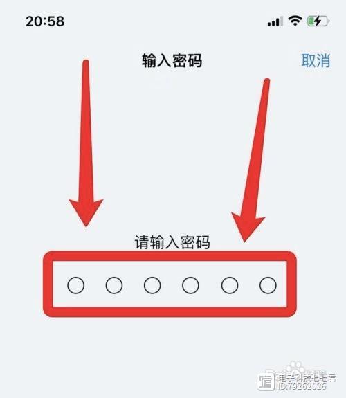 iphone密码自动填充怎么添加