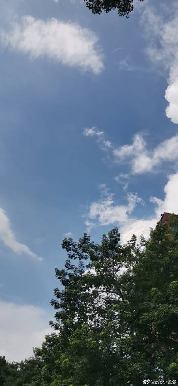 乌云看书网站