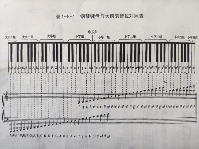 好的钢琴高音区中音区低音区