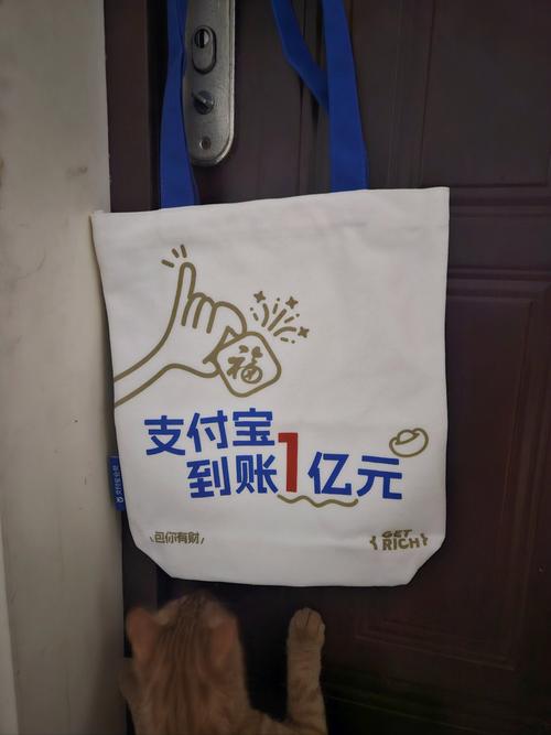 支付宝富国天时货币a安全吗