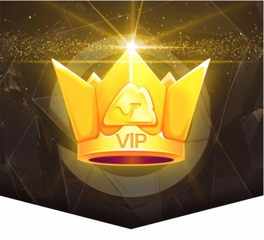 怎样开通vip会员图标
