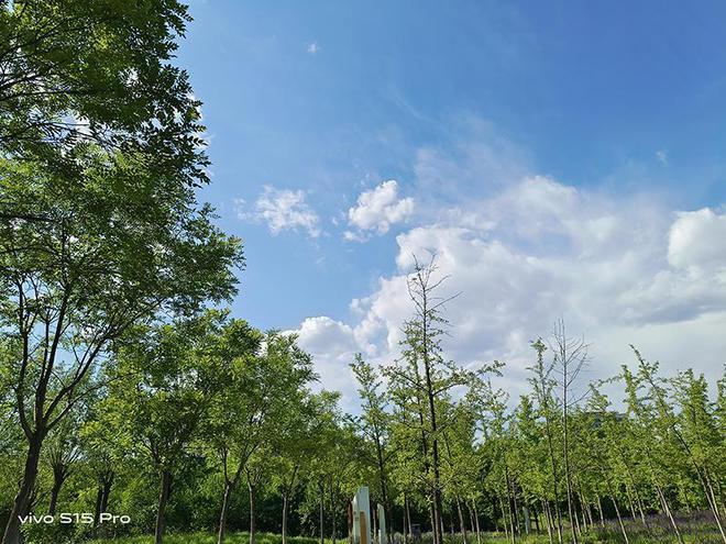 自拍照片模糊什么原因