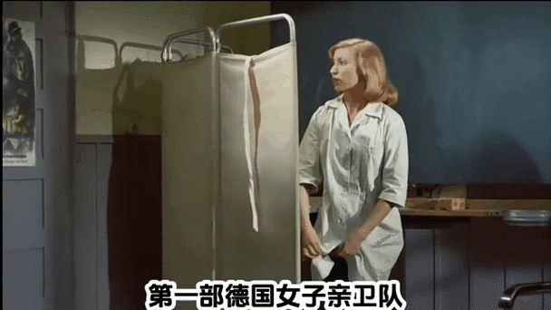 亲卫队实力