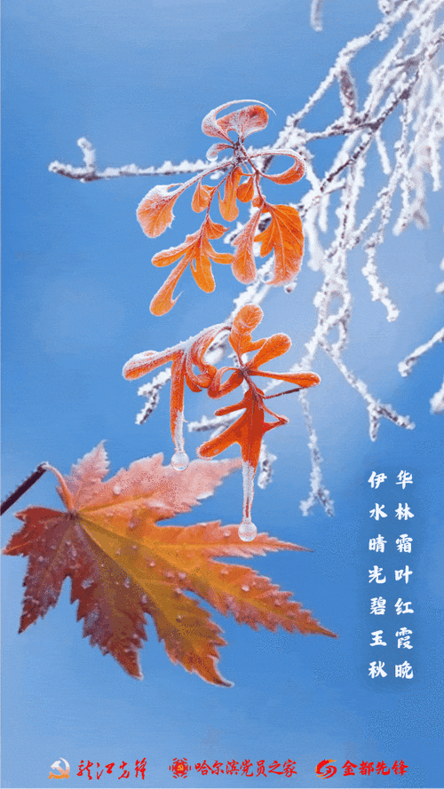 霜降by霁雨