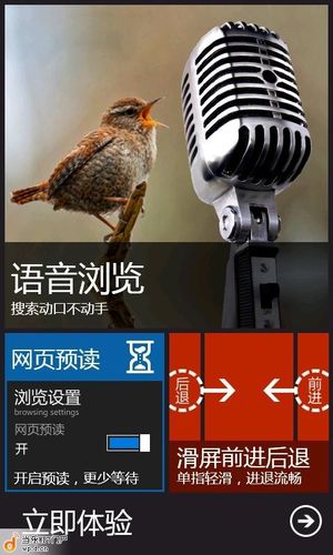 浏览器语音