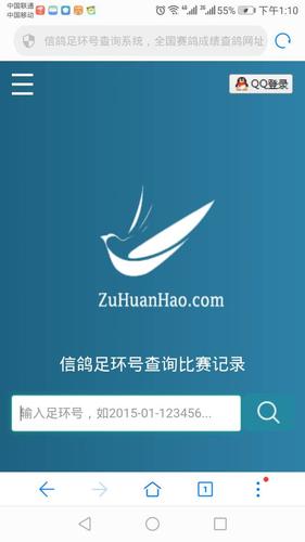 全国最大查鸽子环号查成绩