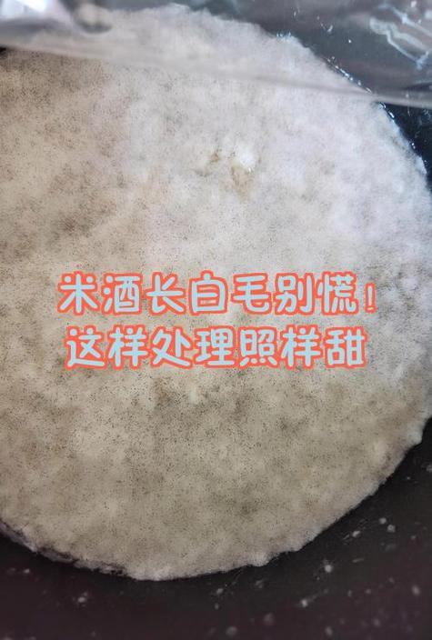 豆豉发酵几天长白毛了截图