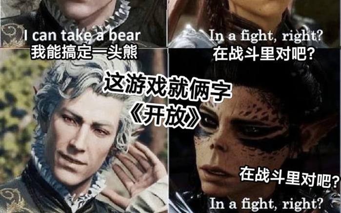 圣女之歌系列是jrpg还是美式rpg还是crpg