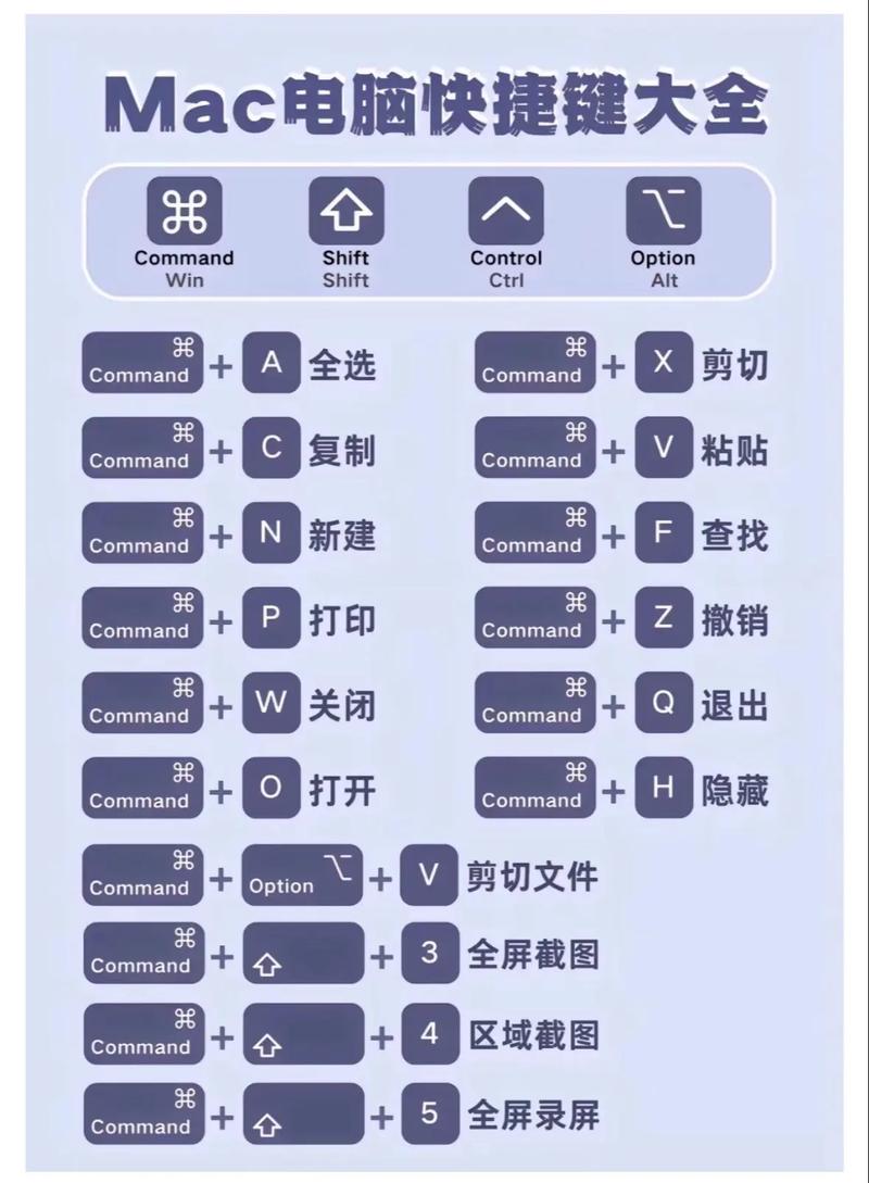 苹果怎么复制粘贴