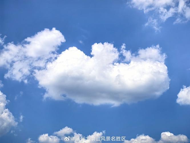 在线会议平台有哪些