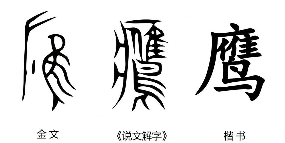 金文字体图片