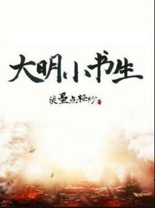 小说大明小书生
