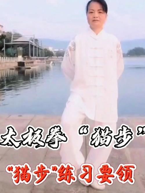 太极猫步正确走法视频