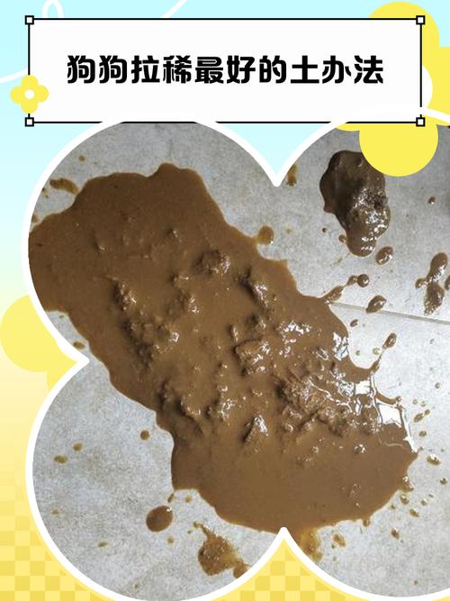 泰拉瑞亚稀有生物探测器