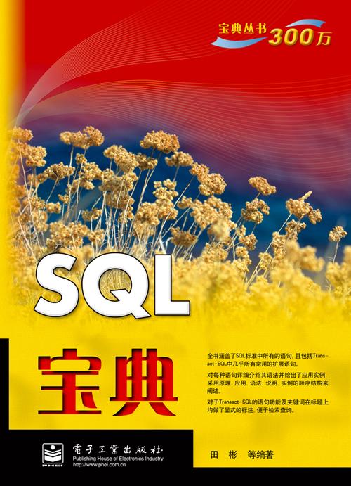 sql网站