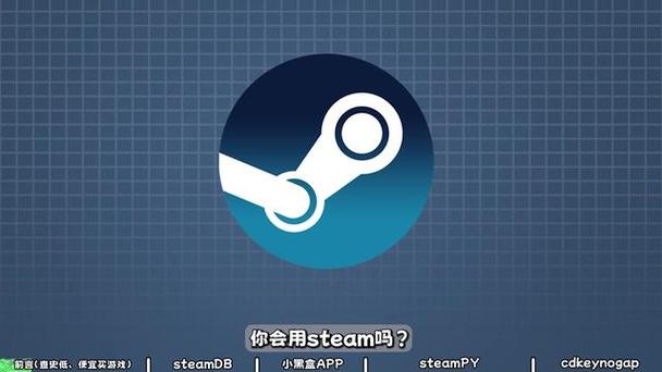 steamPYApp下载
