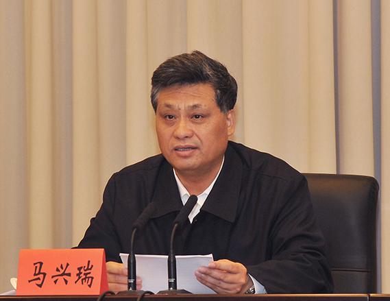 马兴瑞等人被罢免职务