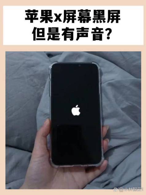 苹果x只有声音不亮屏