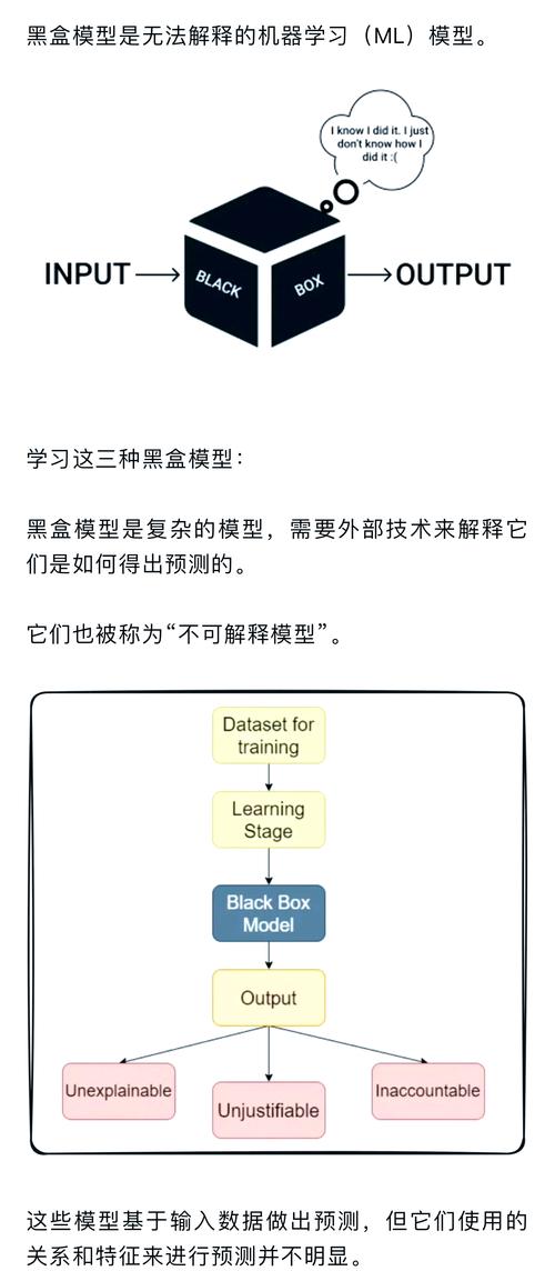 小黑盒steam周报在哪