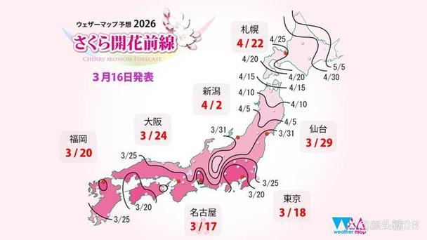 日本看樱花最好的时间