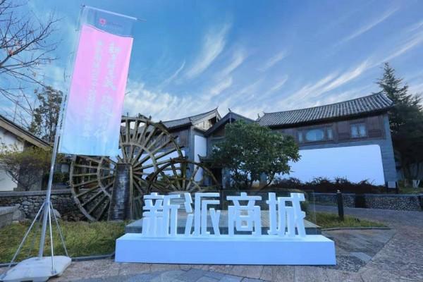 新派商城是正规兼职平台吗截图