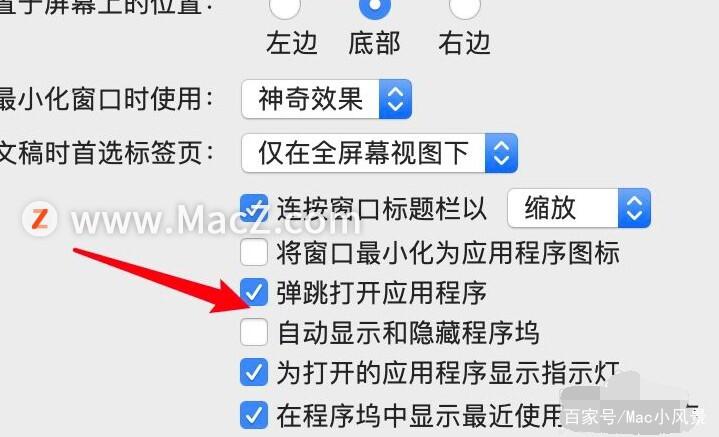 mac程序坞如何设置为透明的