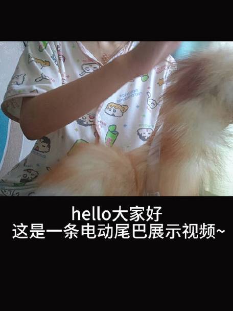 插件与尾巴的区别