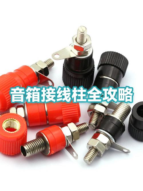 音箱2个接线柱怎么接线