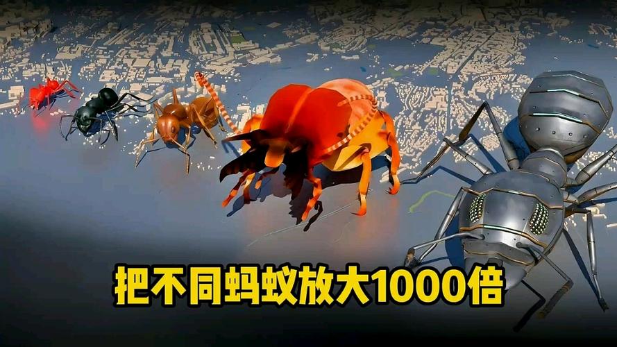蚂蚁放大后有多可怕