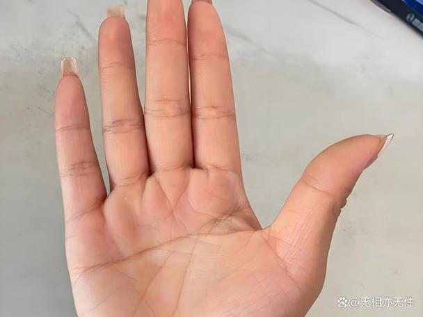 掌心有横纹的女人