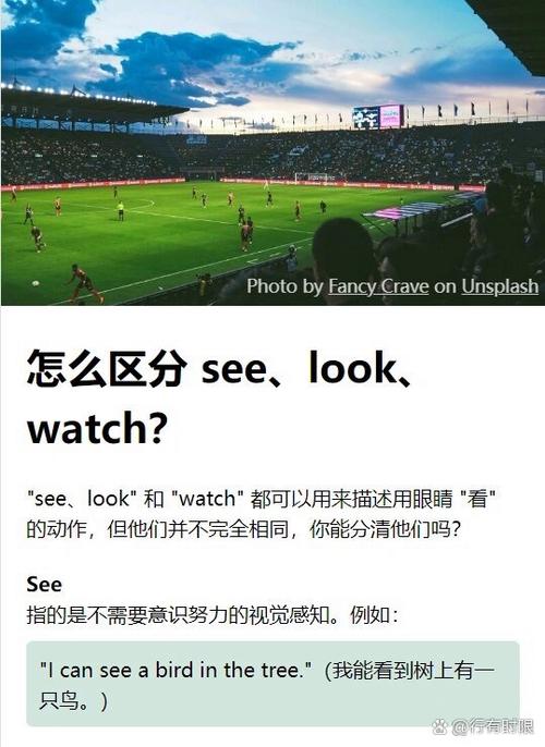 seelookwatch用法和区别