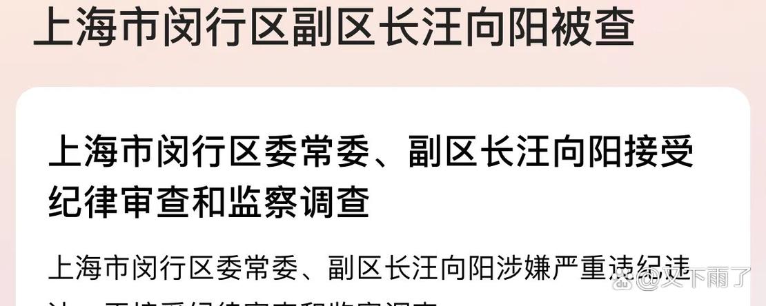 涉嫌严重违纪违法向阳被查