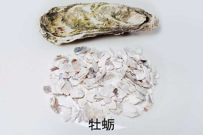 同房前多久吃牡蛎最好