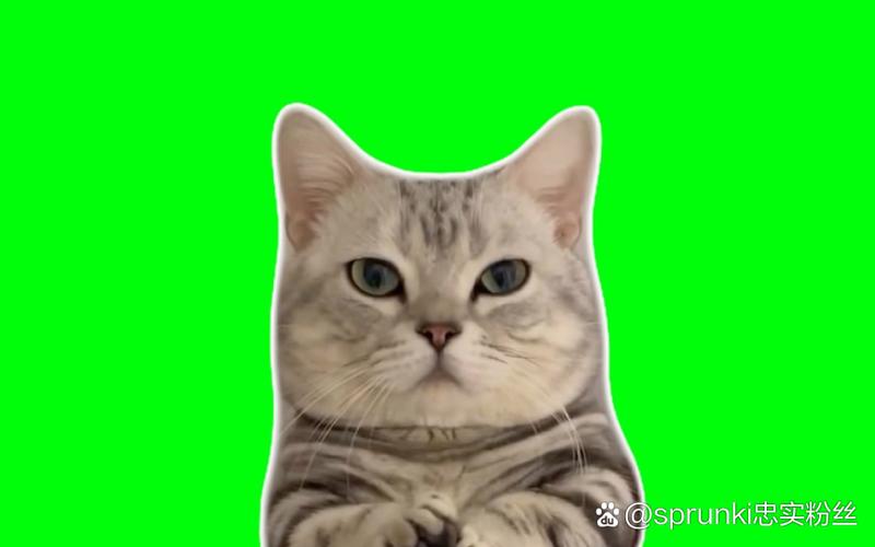 猫meme素材