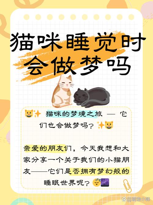 为什么关灯了猫就知道睡觉了
